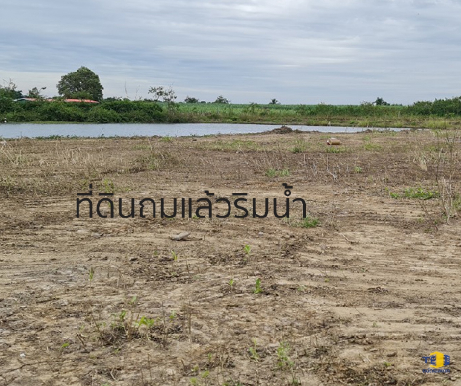 ขายที่ดินกำแพงแสน