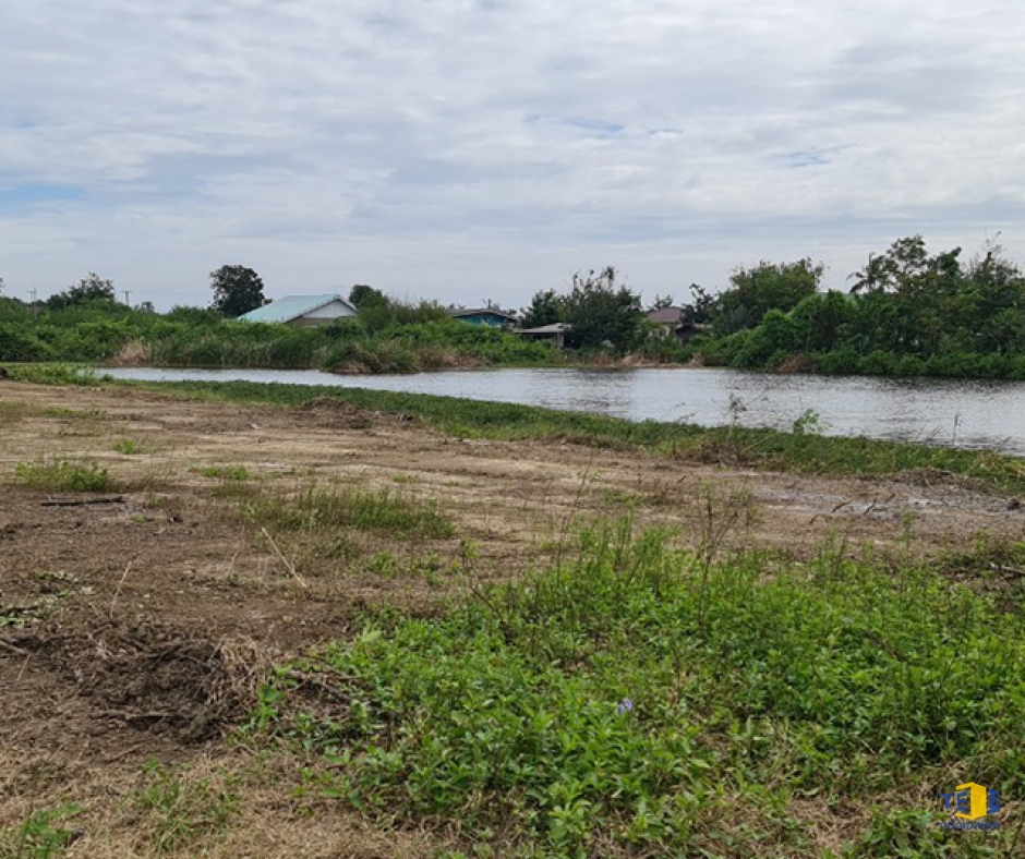 ขายที่ดินกำแพงแสน