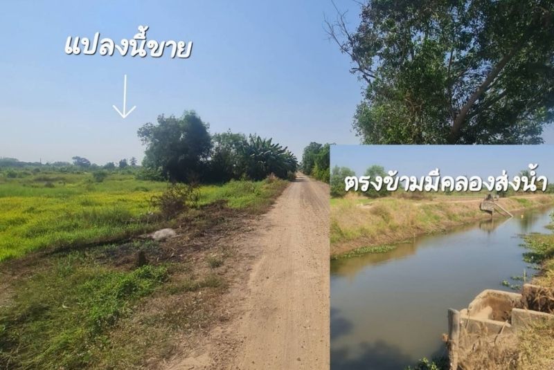 ขายที่ดินคลอง 9