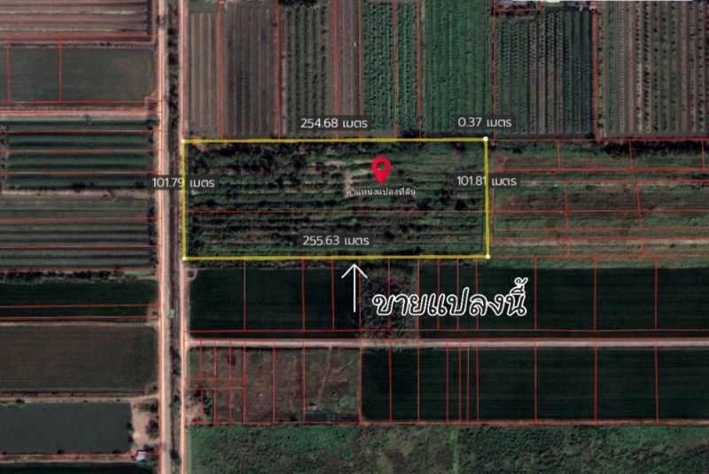 ผังที่ดิน ที่ดินคลอง 9