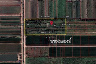 ผังที่ดิน ที่ดินคลอง 9