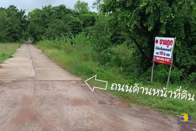 ที่ดินตระการ
