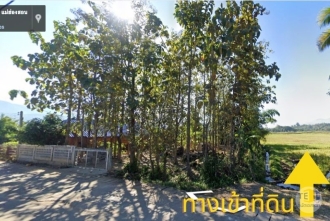 ขายที่ดินปาย
