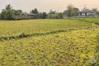 ที่ดินปาย