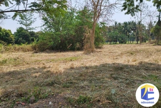 ที่ดิน แม่ริม