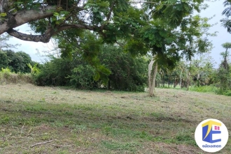 ที่ดิน แม่ริม