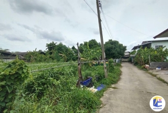 ที่ดินหนองแขม 90 ตร.ว. ภาพถนนหน้าที่ดิน