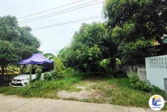 ขายที่ดินหนองแขม  90 ตร.ว.  ภาพหน้าที่ดิน