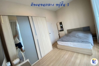 บ้านกลางเมือง กัลปพฤกษ์ 
