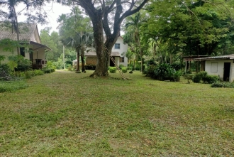 ที่ดินแปลงใหญ่ 1 ไร่ 2 งาน ระยอง เหมาะทำบ้านสวนวัยเกษียณ