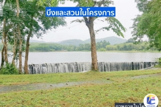 สระว่ายน้ำและบรรยากาศโครงการ The Park Adventure Land ระยอง