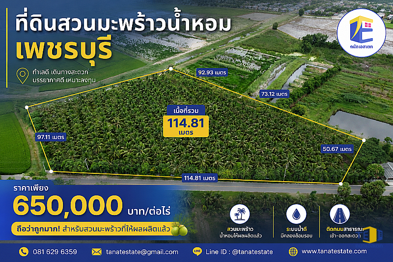 ขายที่ดินสวนมะพร้าวน้ำหอม 8 ไร่เศษ ใกล้หาดปึกเตียน 5 นาที ติดถนนคอนกรีต ทำเลทองชะอำ-เพชรบุรี