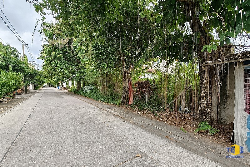 ขายที่ดินบางแวก 116 เนื้อที่ 214 ตร.ว.