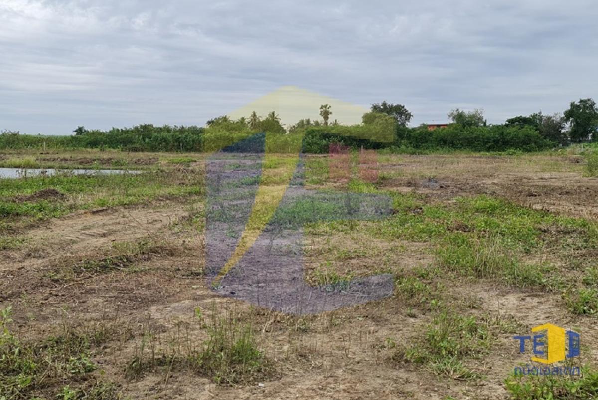 ขายที่ดินกำแพงแสน 14 ไร่ ใกล้ ม.เกษตรฯ ลดกระหน่ำ 10 ล้าน! เหมาะทำหอพัก บ่อตกปลา บ้านสวนริมน้ำ
