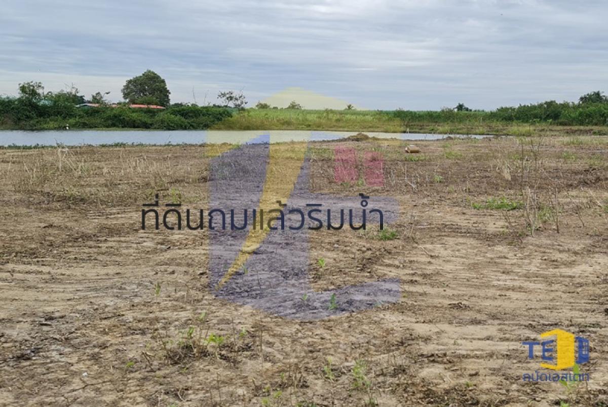 ขายที่ดินกำแพงแสน 14 ไร่ ใกล้ ม.เกษตรฯ ลดกระหน่ำ 10 ล้าน! เหมาะทำหอพัก บ่อตกปลา บ้านสวนริมน้ำ