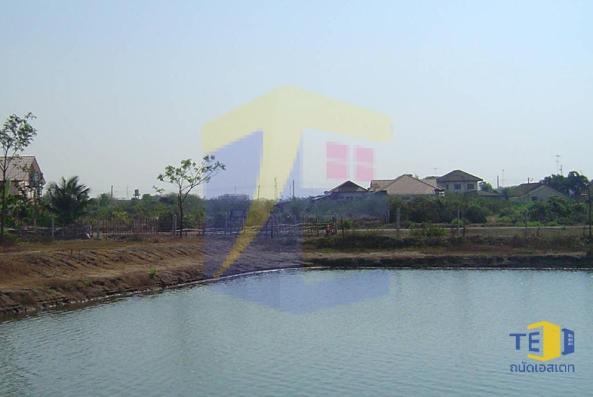 ขายที่ดินกำแพงแสน 14 ไร่ ใกล้ ม.เกษตรฯ ลดกระหน่ำ 10 ล้าน! เหมาะทำหอพัก บ่อตกปลา บ้านสวนริมน้ำ