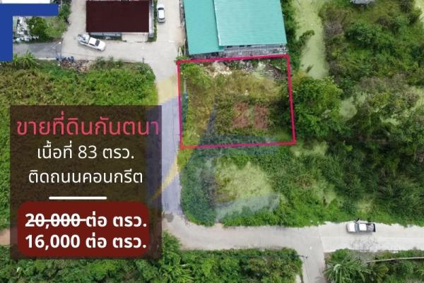ที่ดิน กันตนา เนื้อที่ 83 ตรว. ติดถนนคอนกรีต ติดถนน  16 เมตร ลึก 20 เมตร เหมาะปลูกบ้าน