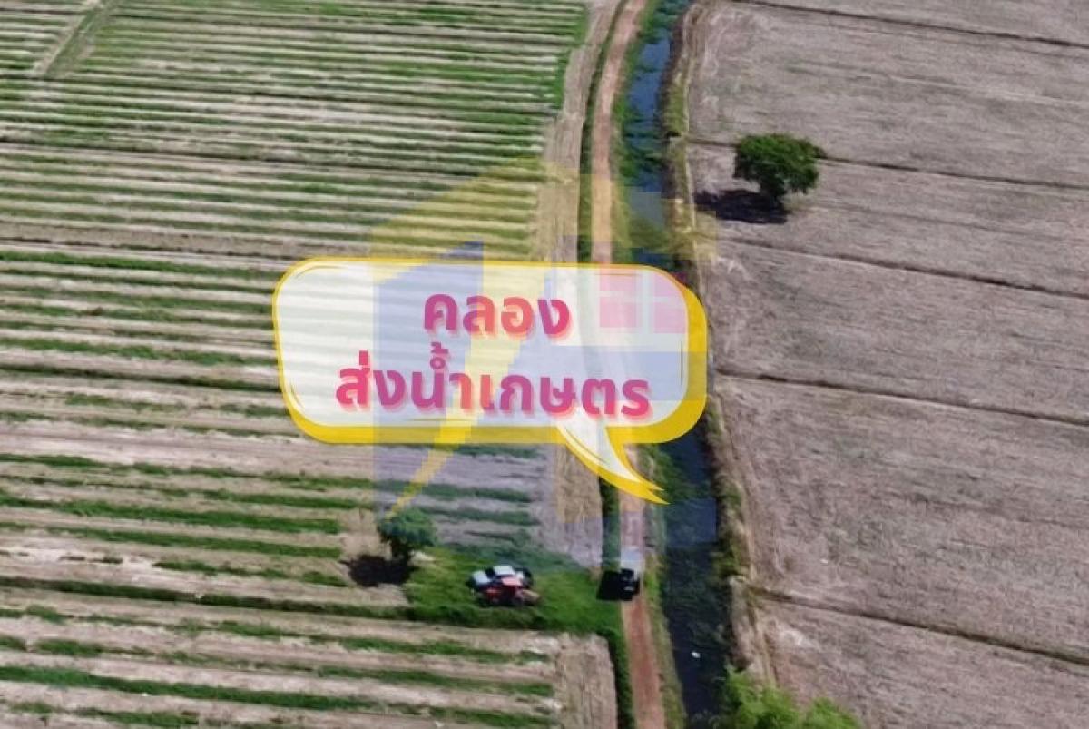 ขายที่ดินนครนายก ซอยโคกม่วง วิวภูเขา ติดถนนสาธารณะประโยชน์