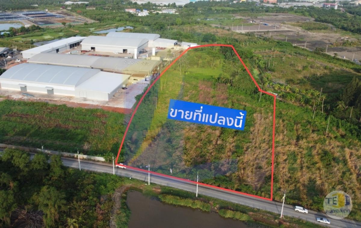 ขายที่ดินสมุทรสาคร ถนนทางหลวงชนนบท ส.ค 2013 เนื้อที่ 12-1-88 ไร่ ผังที่ดินสีเขียว