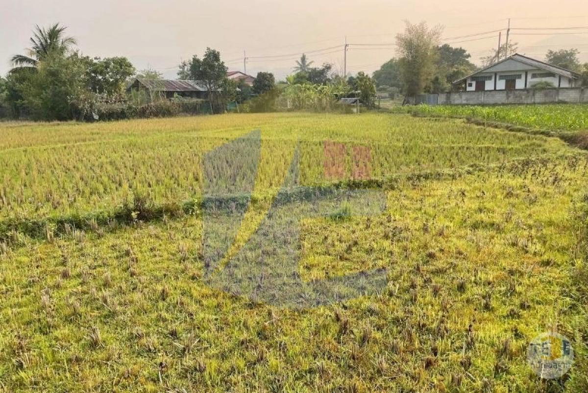 ขายที่ดินปาย น้ำไฟเข้าถึง วิว 180 องศา ตั้งแต่พระอาทิตย์ขึ้นจนพระอาทิตย์ตก