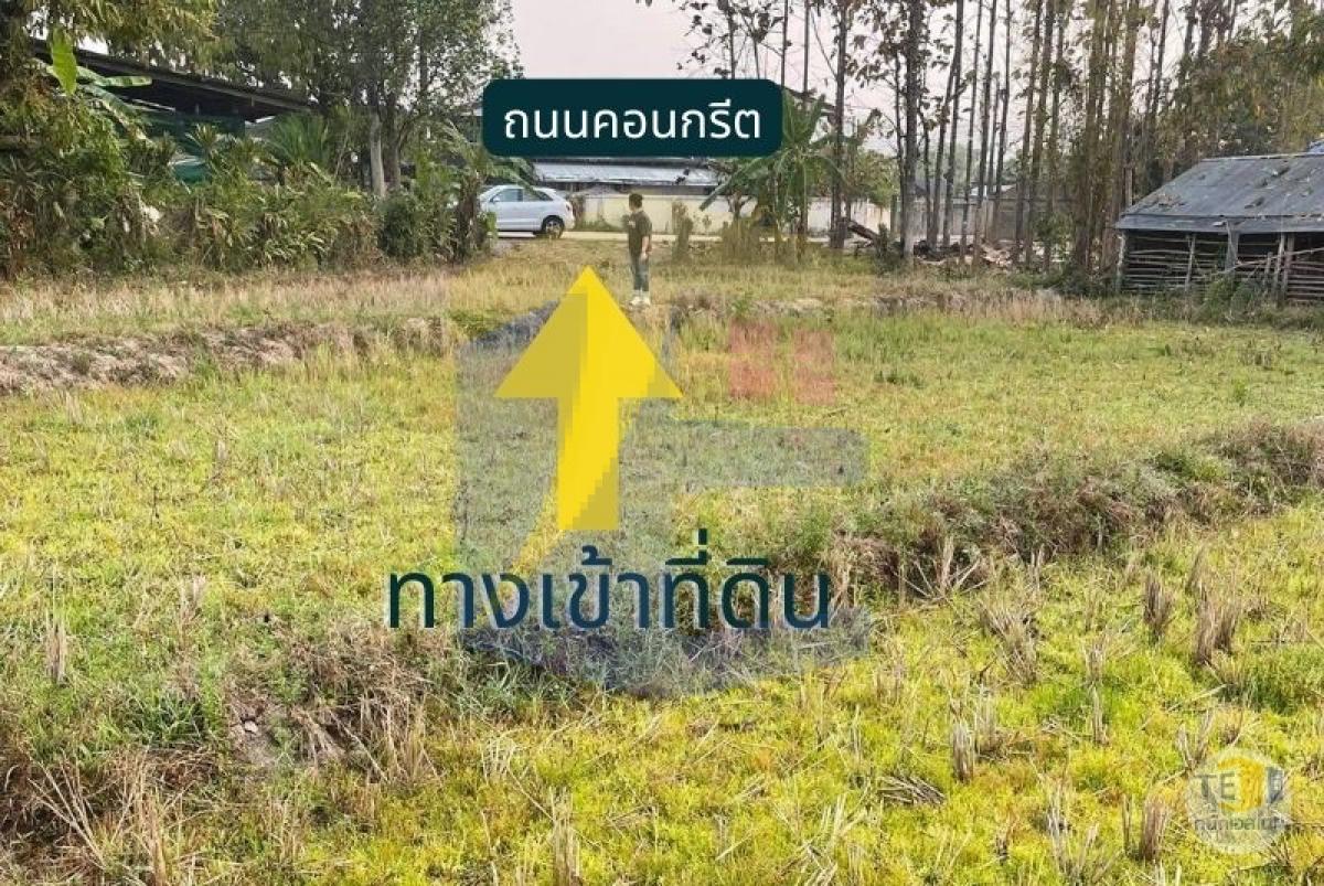 ขายที่ดินปาย น้ำไฟเข้าถึง วิว 180 องศา ตั้งแต่พระอาทิตย์ขึ้นจนพระอาทิตย์ตก