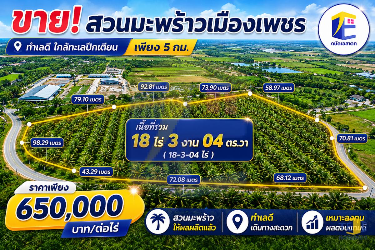 ขายที่ดินสวนมะพร้าว ปลูกพร้อม ใกล้ทะเลปึกเตียน เพียง 5 กม.