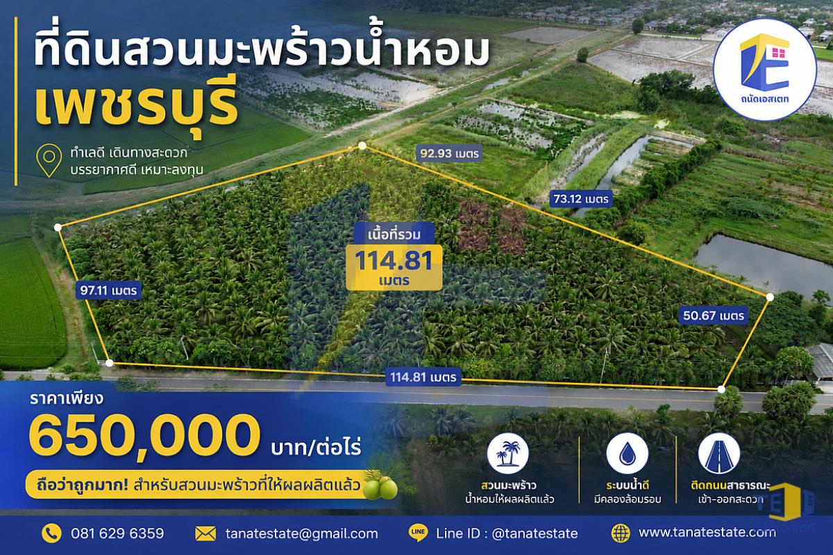 ขายที่ดินสวนมะพร้าวน้ำหอม 8 ไร่เศษ ใกล้หาดปึกเตียน 5 นาที ติดถนนคอนกรีต ทำเลทองชะอำ-เพชรบุรี
