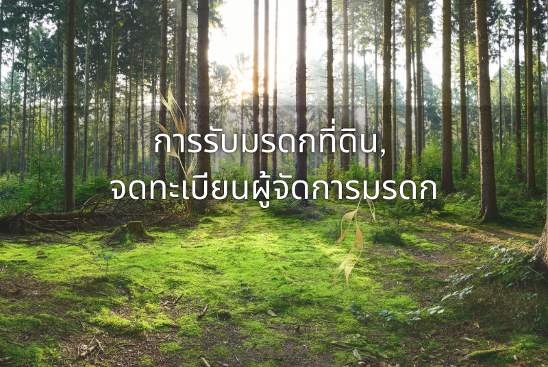 การรับมรดกที่ดิน ต้องเตรียมหลักฐานประกอบอะไรบ้าง ที่นี่มีคำตอบ