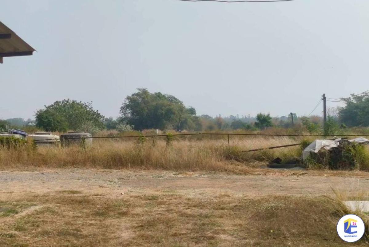 ขายที่ดินลพบุรี พัฒนานิคม 24 ไร่ พร้อมตึกปูน 2 ชั้น (12x16m) ติดถนน 83m (3 โฉนด) | Tanat Estate
