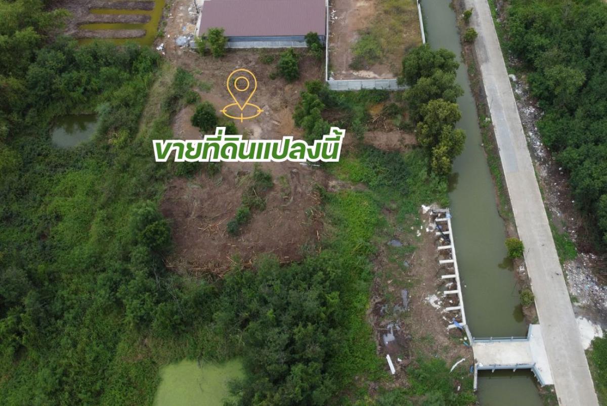 ขายที่ดินคลองพระอุดม ลาดหลุมแก้ว 1-1-84 ไร่ เหมาะทำโกดัง คลังสินค้า มีทางเข้า 2 ทาง ราคา 7.59 ล้าน