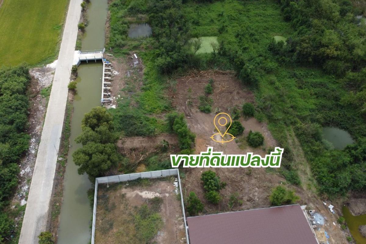 ขายที่ดินคลองพระอุดม ลาดหลุมแก้ว 1-1-84 ไร่ เหมาะทำโกดัง คลังสินค้า มีทางเข้า 2 ทาง ราคา 7.59 ล้าน