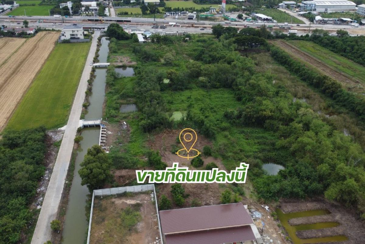 ขายที่ดินคลองพระอุดม ลาดหลุมแก้ว 1-1-84 ไร่ เหมาะทำโกดัง คลังสินค้า มีทางเข้า 2 ทาง ราคา 7.59 ล้าน