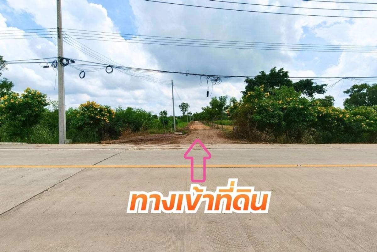 ขายที่ดินคลองพระอุดม ลาดหลุมแก้ว 1-1-84 ไร่ เหมาะทำโกดัง คลังสินค้า มีทางเข้า 2 ทาง ราคา 7.59 ล้าน