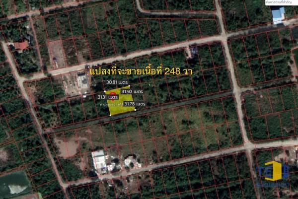 ขายที่ดินบางเลน นท.248 ตร.ว. 2โฉนด ถมแล้ว เพียง 8 นาทีถึง ตลาด